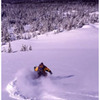 Upper Glades